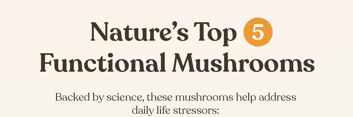 Nature's Top 5 Functional Mushrooms