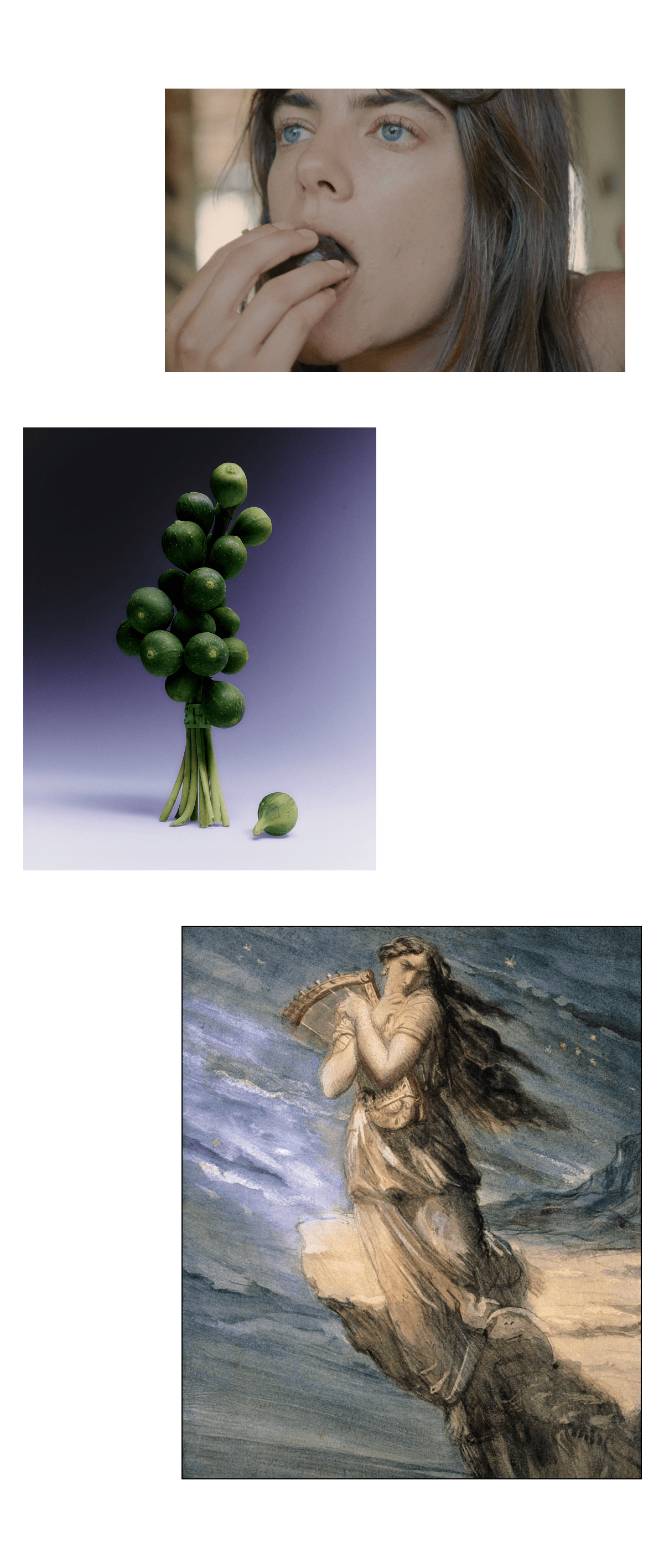 Sappho Fig