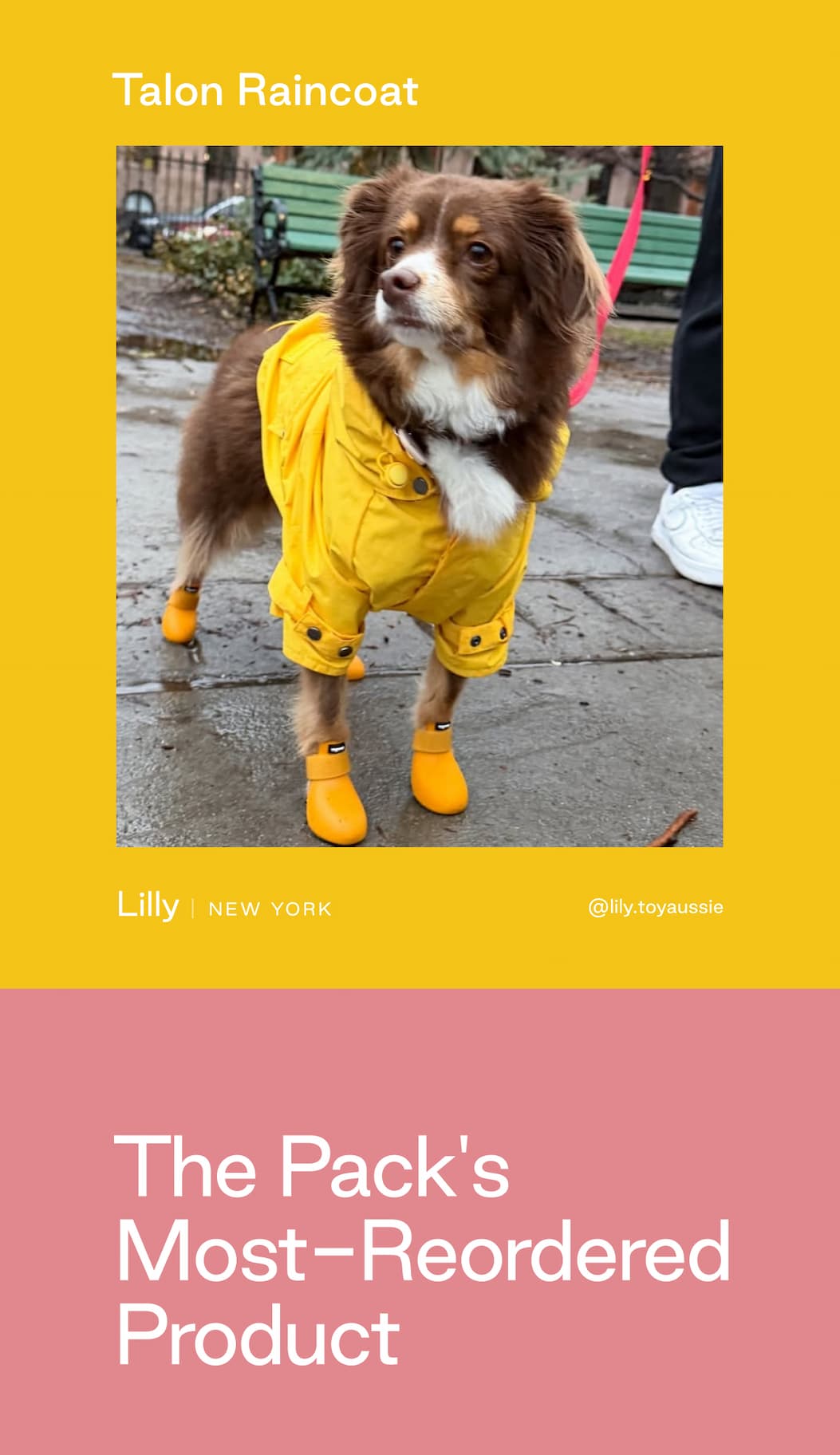 Shop The Talon Raincoat