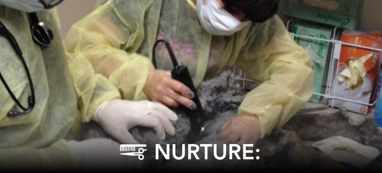NURTURE: