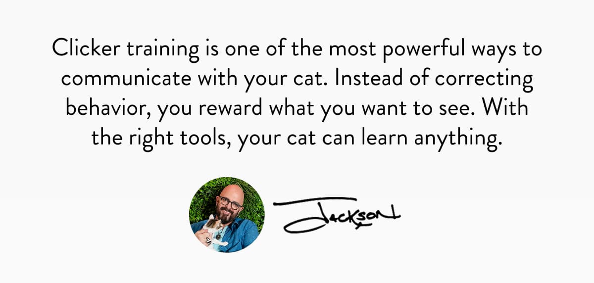 How to clicker train your cat