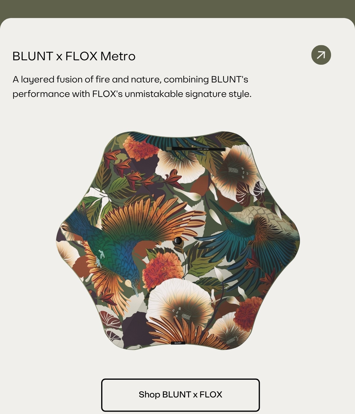 BLUNT x FLOX limited edition collaboration