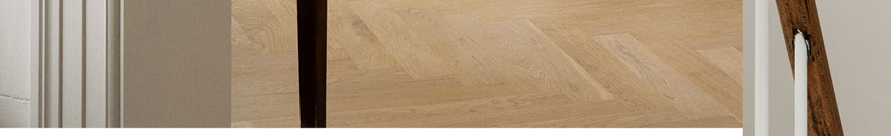 Apiales Ceiling Light