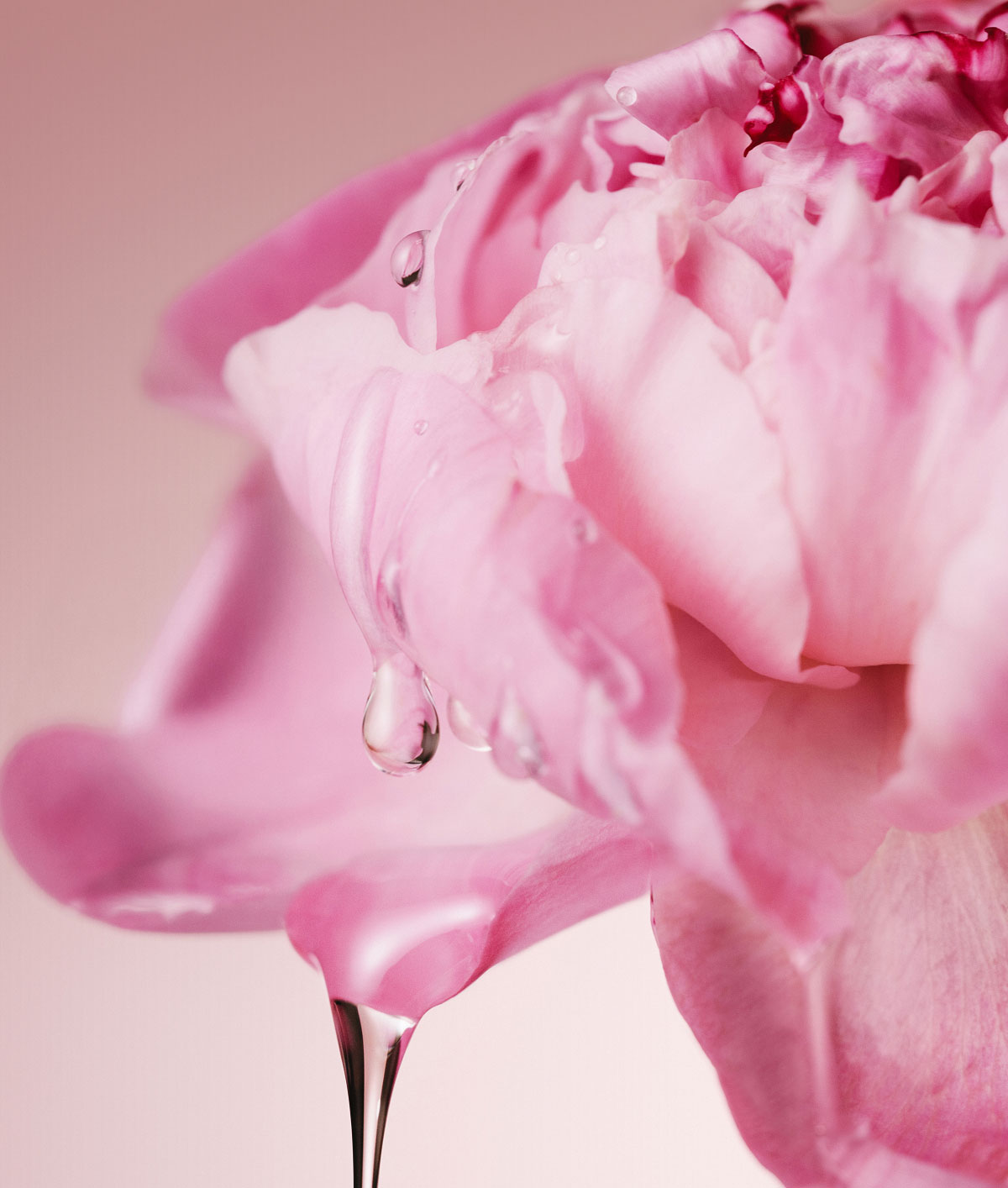 Floral Scents