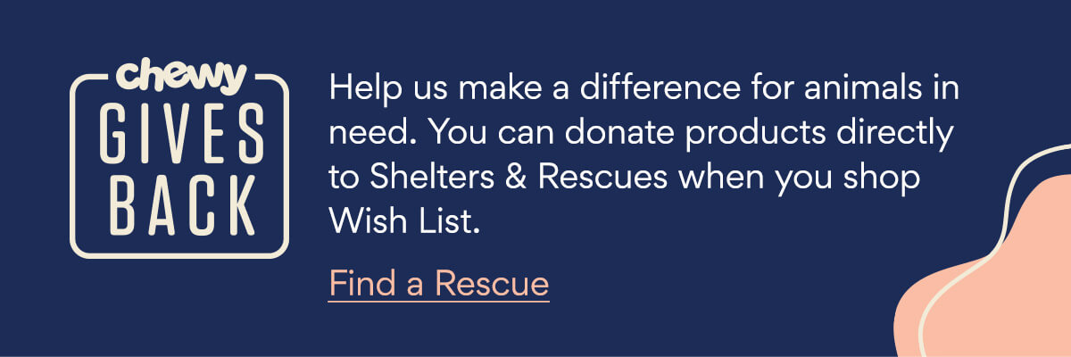 Help us make a difference for animals in need. Find a rescue