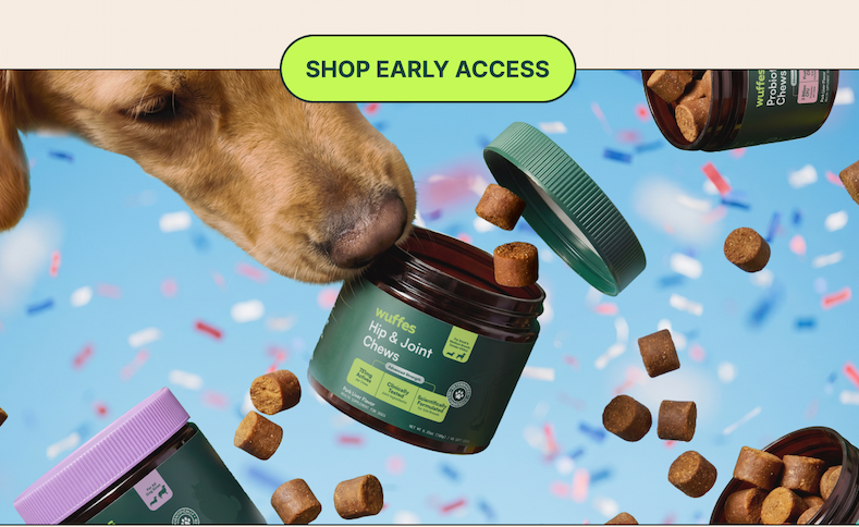 Dog with products