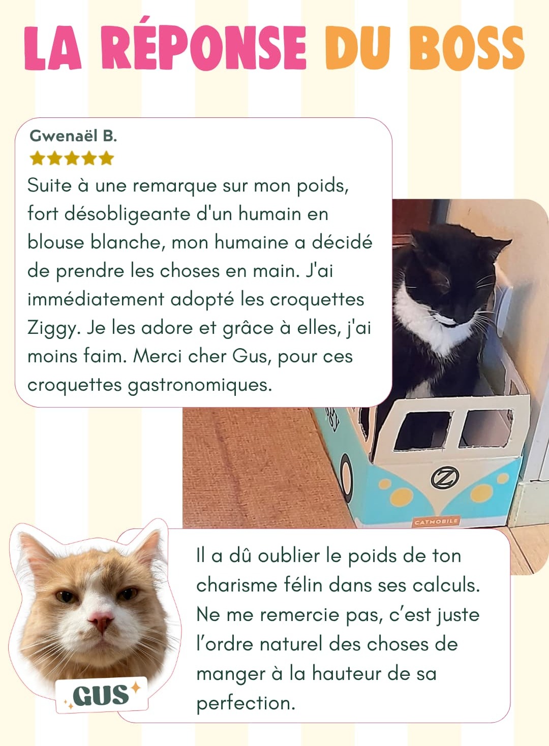 La réponse du boss