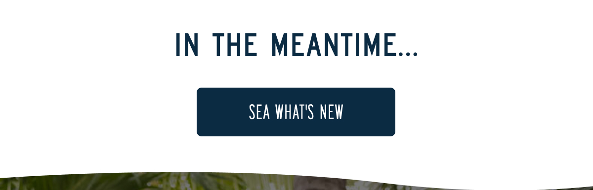IN THE MEANTIME...  [SEA WHAT'S NEW]