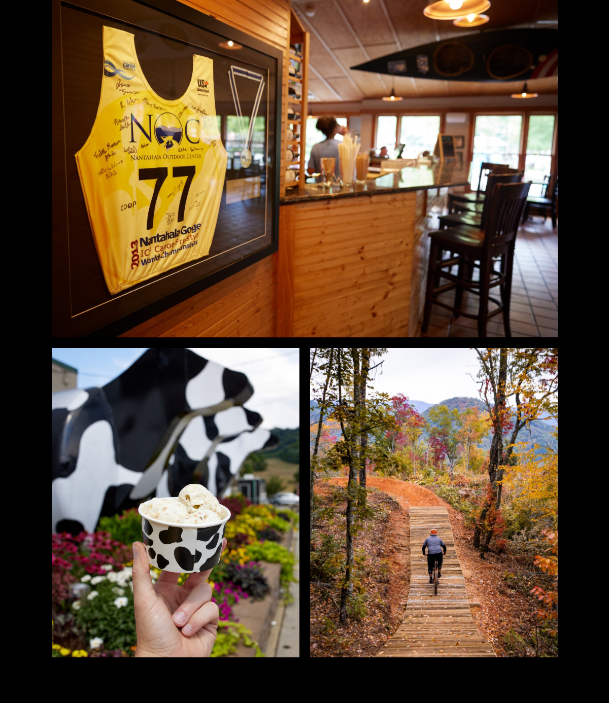 A photo of the interior of a restaurant, a hand holding out a cup of ice cream, and a mountain biker riding on a trail with fall foliage.