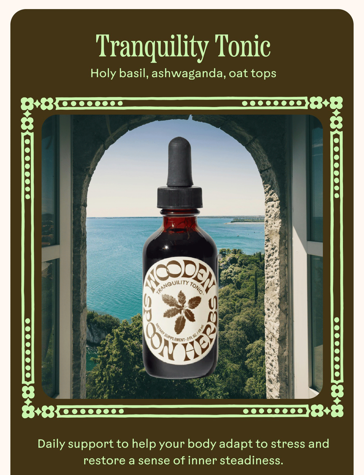 Tranquility Tonic Holy basil, ashwagandha, oat tops Daily support to help your body adapt to stress and restore a sense of inner steadiness. 