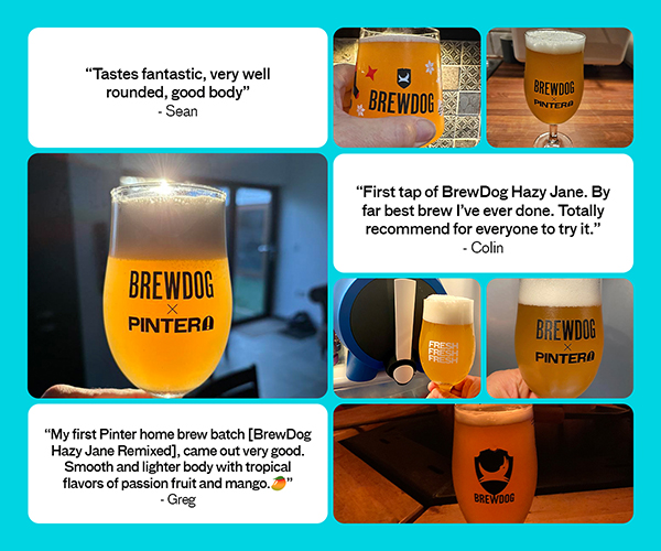 BREWDOG X PINTER