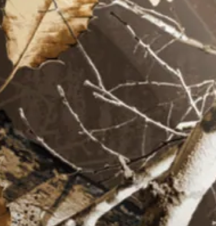 Realtree Espresso