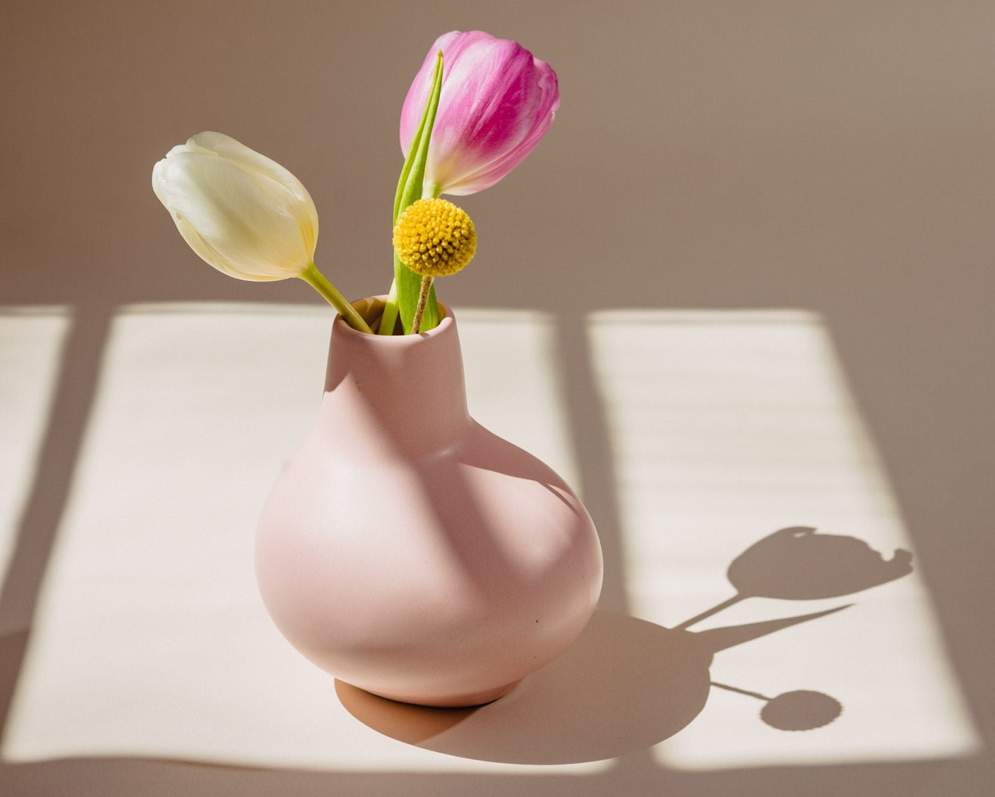 Image of Vivian Howard & Haand Small Driftwood Vase