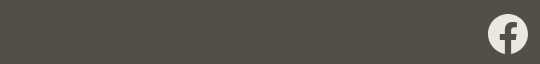 Facebook social media icon.