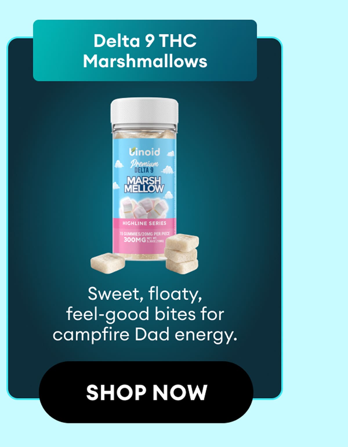 Delta 9 THC Marshmallows | Sweet, floaty, feel-good bites for campfire Dad energy. | Shop Now