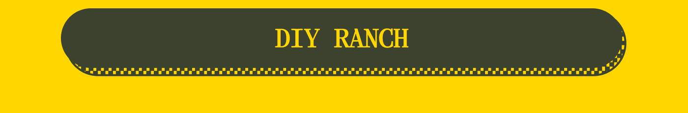 DIY RANCH