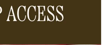 VIP ACCESS