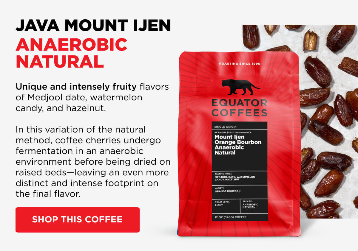 Java Mount Ijen Orange Bourbon Anaerobic Natural: Unique and intensely fruity flavors of Medjool date, watermelon candy, and hazelnut.