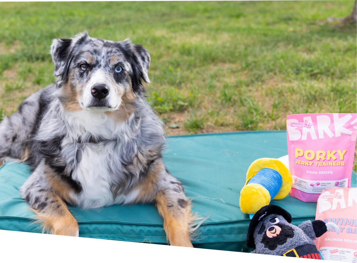 Customize Your Box To Match Your Pup's Style.
