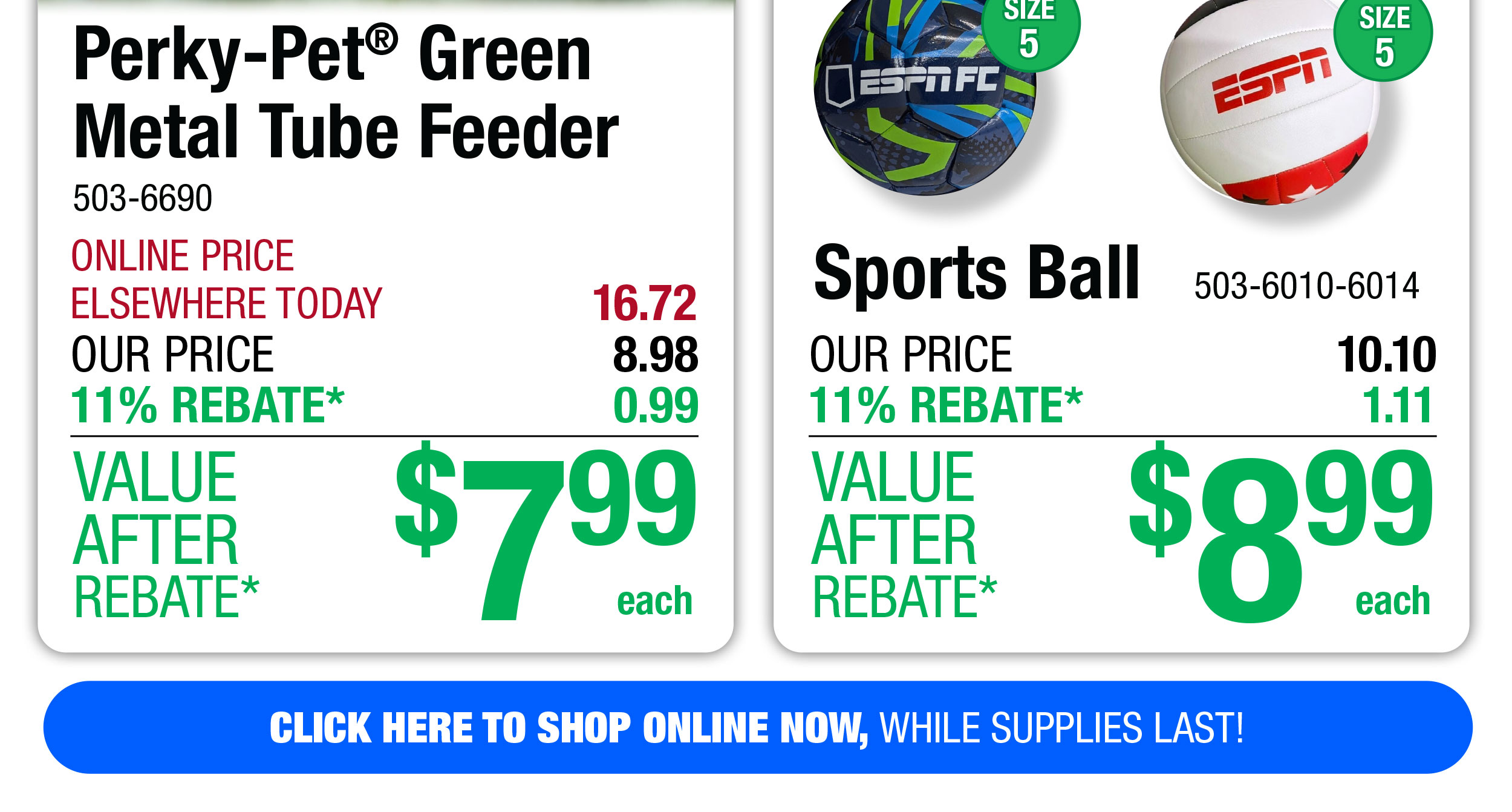 Your Choice Sports Ball - ONLY $8.99 After Rebate*!