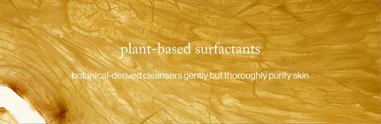 plant-based surfactants