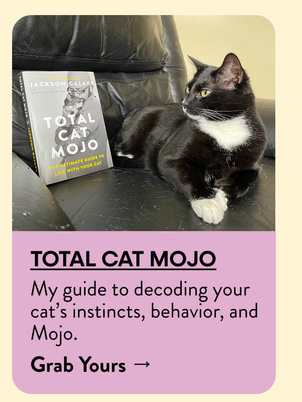 Total Cat Mojo