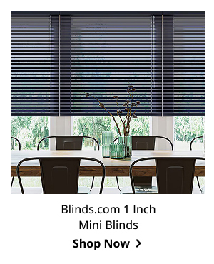 Blinds.com 1 Inch Mini Blinds | Shop Now >