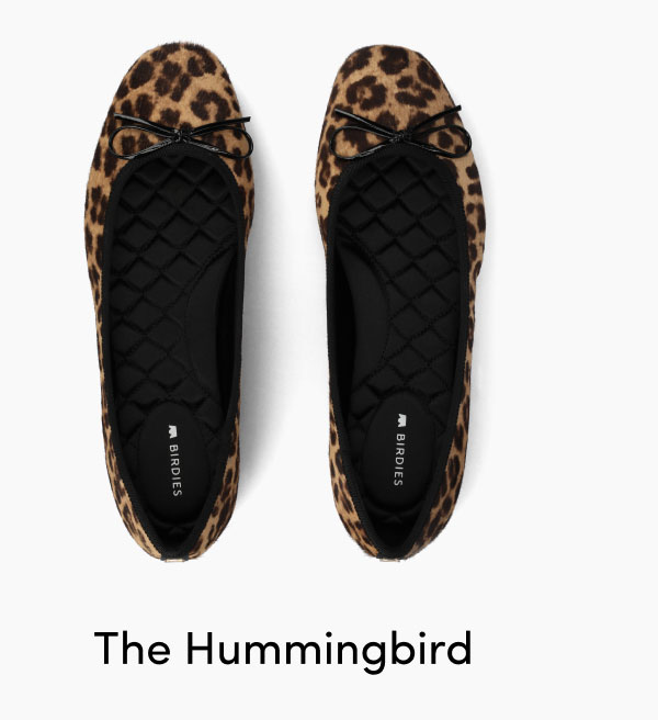 The Hummingbird
