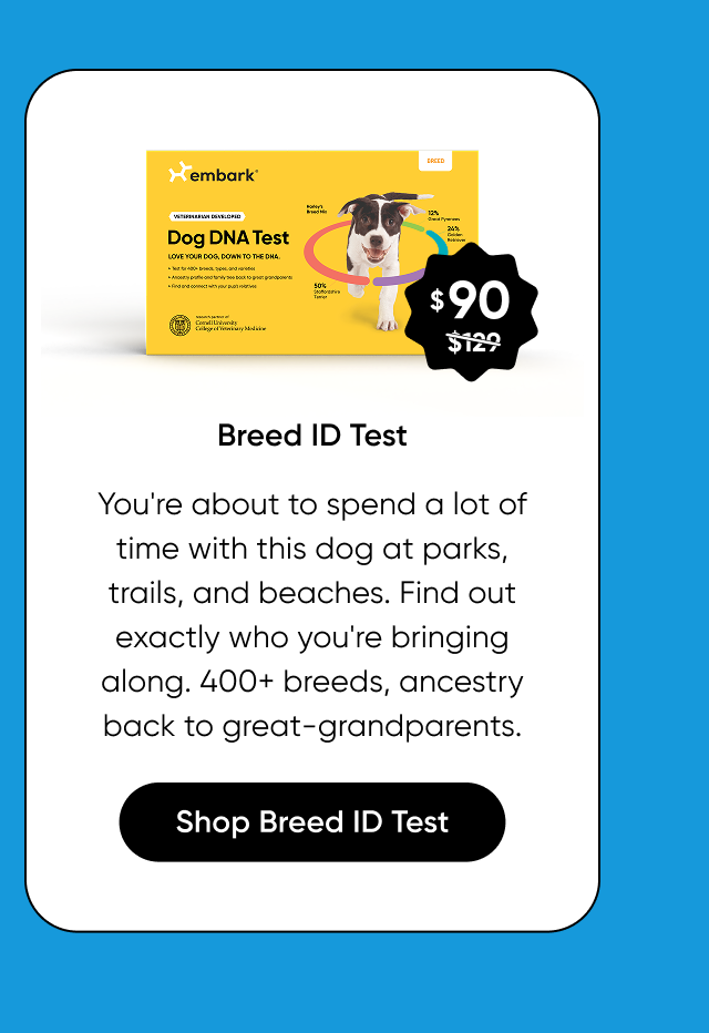 You're about to spend a lot of time with this dog at parks, trails, and beaches. Find out exactly who you're bringing along. 400+ breeds, ancestry back to great-grandparents.