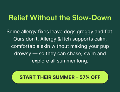 Relief Without The Slow-Down