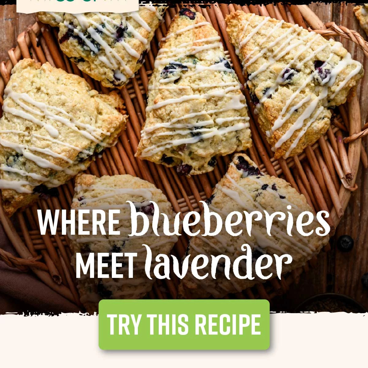 Where Blueberries Meet Lavender