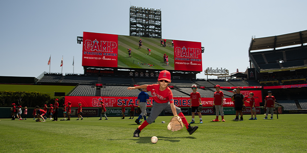 Angels Camp - Stadium Series