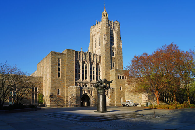 firestone library 