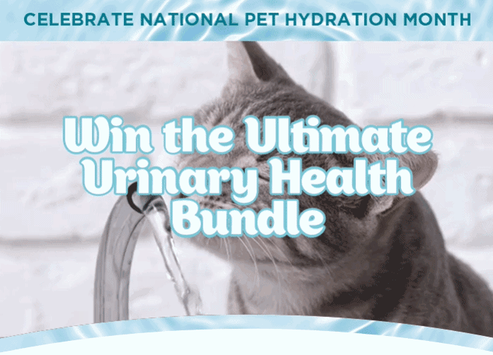 Celebrate National Pet Hydration Month - Win the Ultimate Urinary Health Bundle