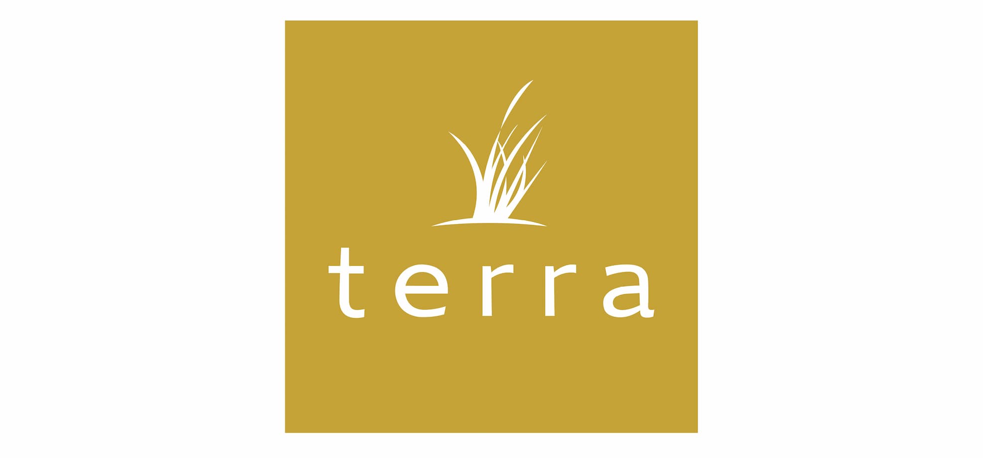 terra logo