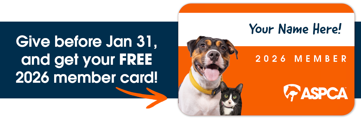 Give before Jan 31 and get your FREE 2026 member card.