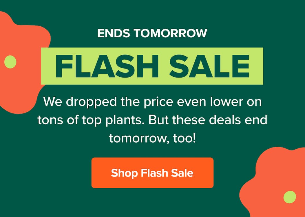 Flash sale ends tomorrow, too! We dropped the price even lower on tons of plants. Shop flash sale>>