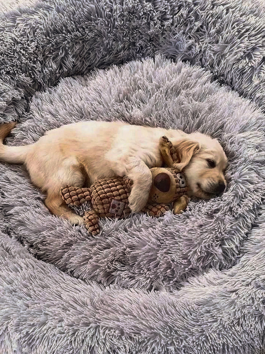 Wahre Tierliebe