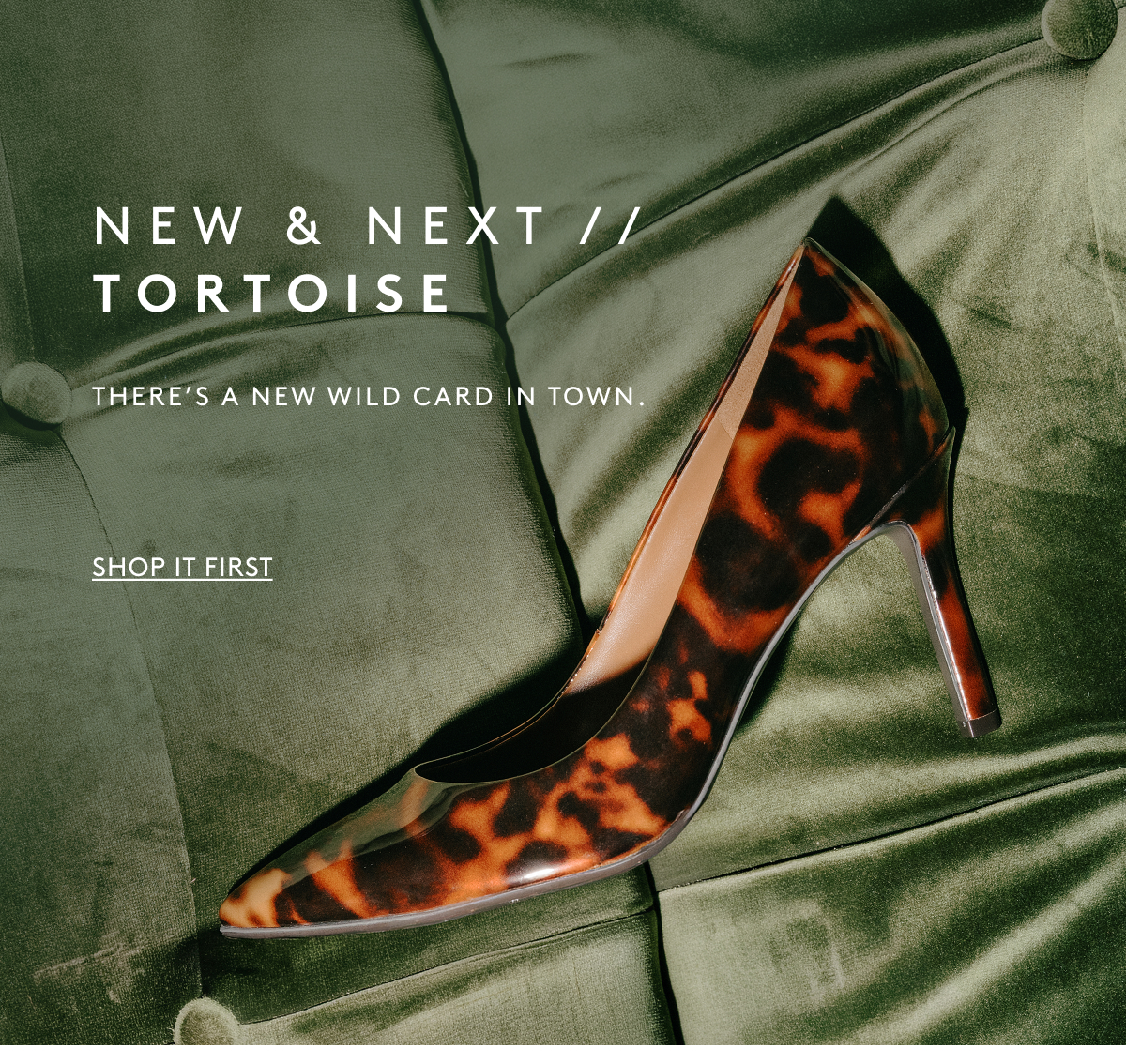 New & Next // Tortoise / There’s A New Wild Card In Town. | Shop It First