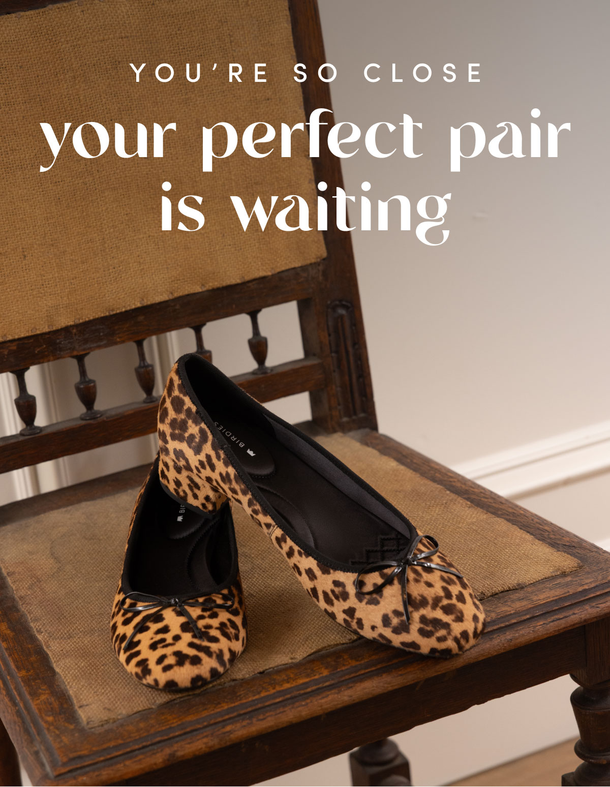 Your Perfect Pair is Waiting