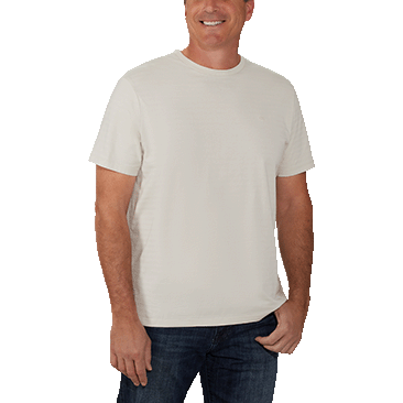 Calvin Klein Men’s Dress Tee