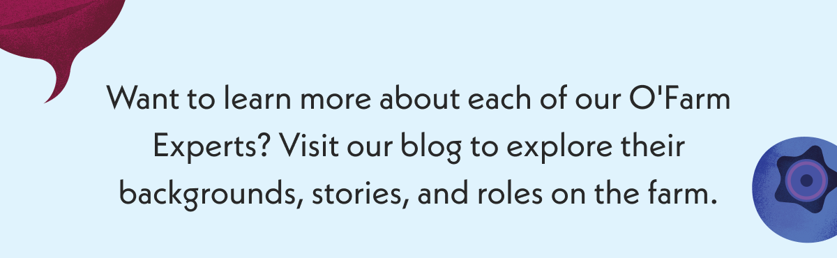 Want to learn more about each of our experts? Visit our blog to learn more. 