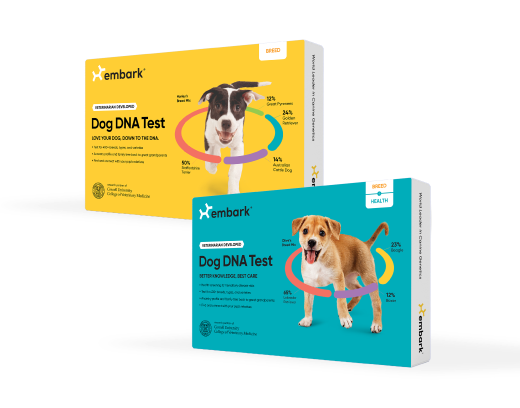Breed ID Test and Breed and Health Test