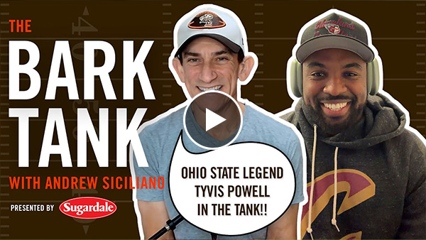 Podcasts: The Bark Tank