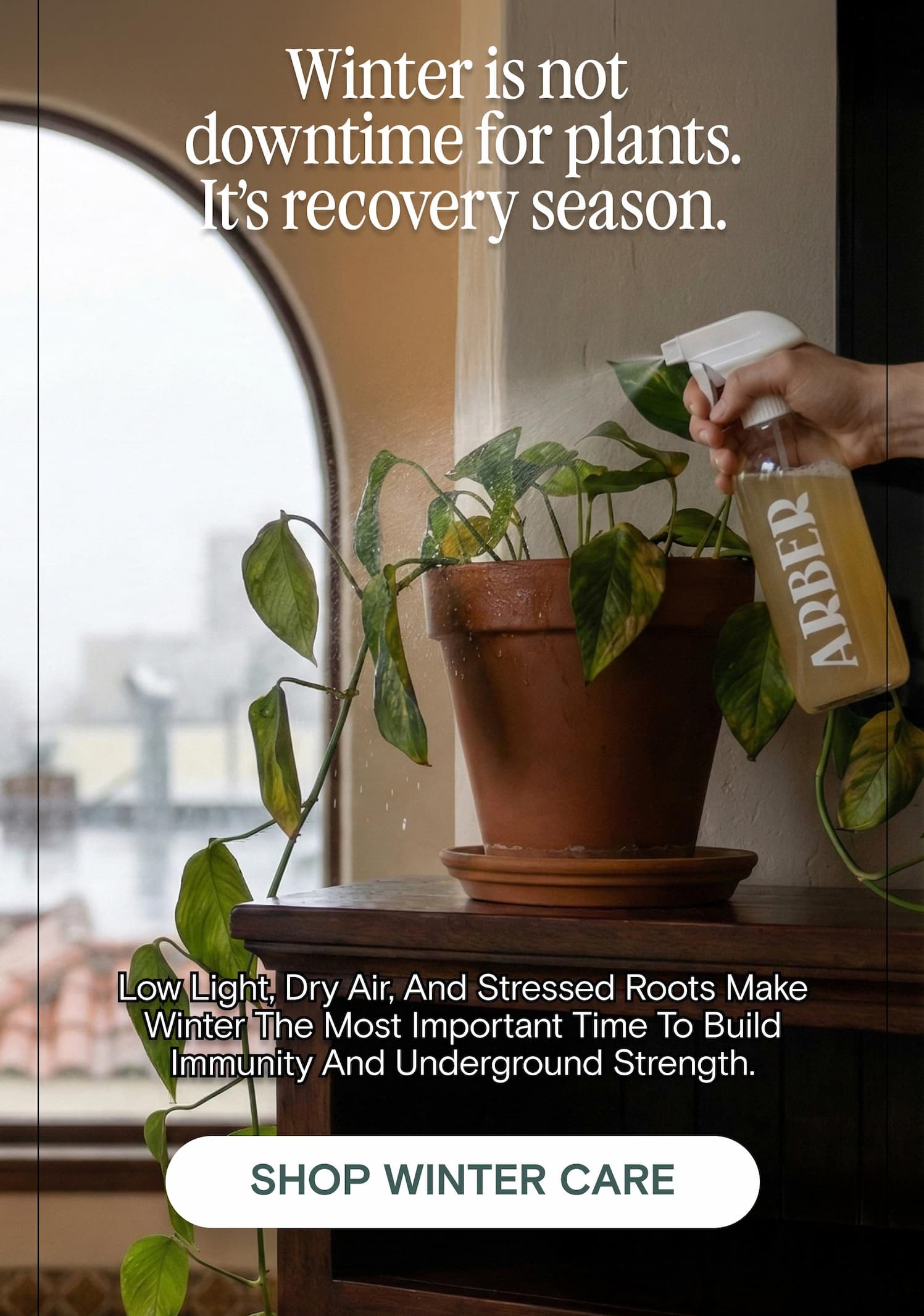 Winter is not  downtime for plants. It’s recovery season. Low light, dry air, and stressed roots make winter the most important time to build immunity and underground strength.