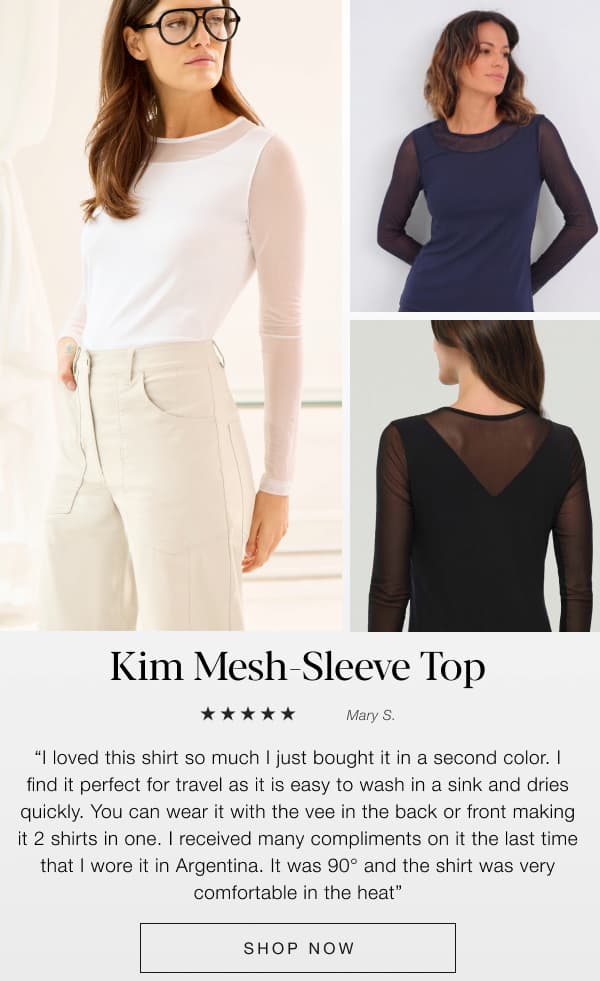 Kim Mesh Sleeve top