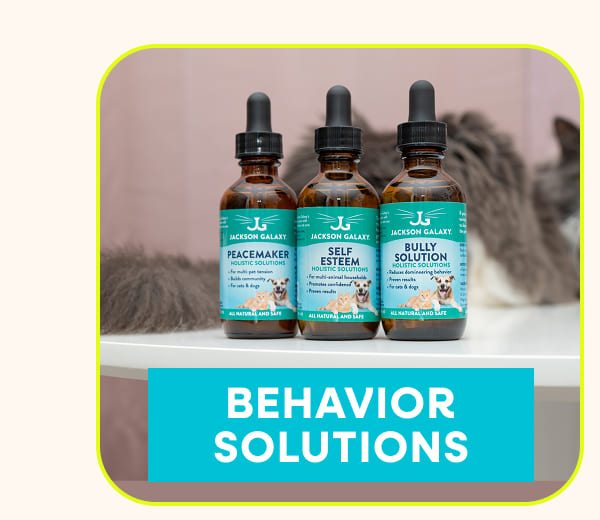 Behavior Solutions