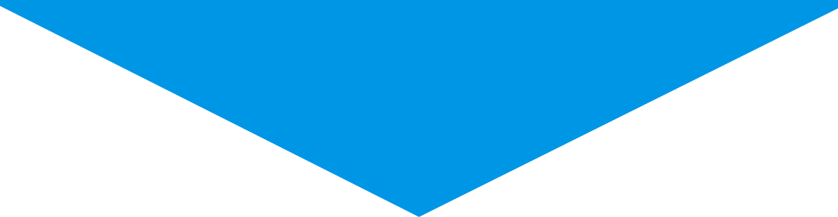 section. brake
