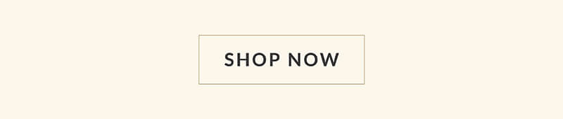 Shop the Cyber Monday Sale