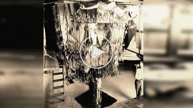 A GIF of Gaudi designing the Sagrada Familia